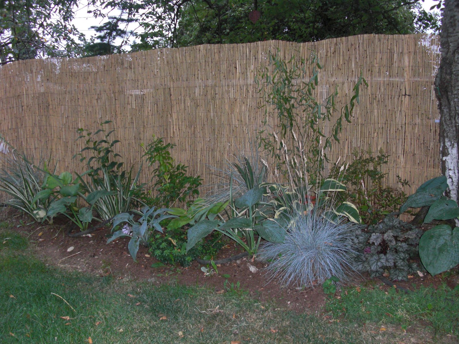 Chain Link Fence Covering Ideas