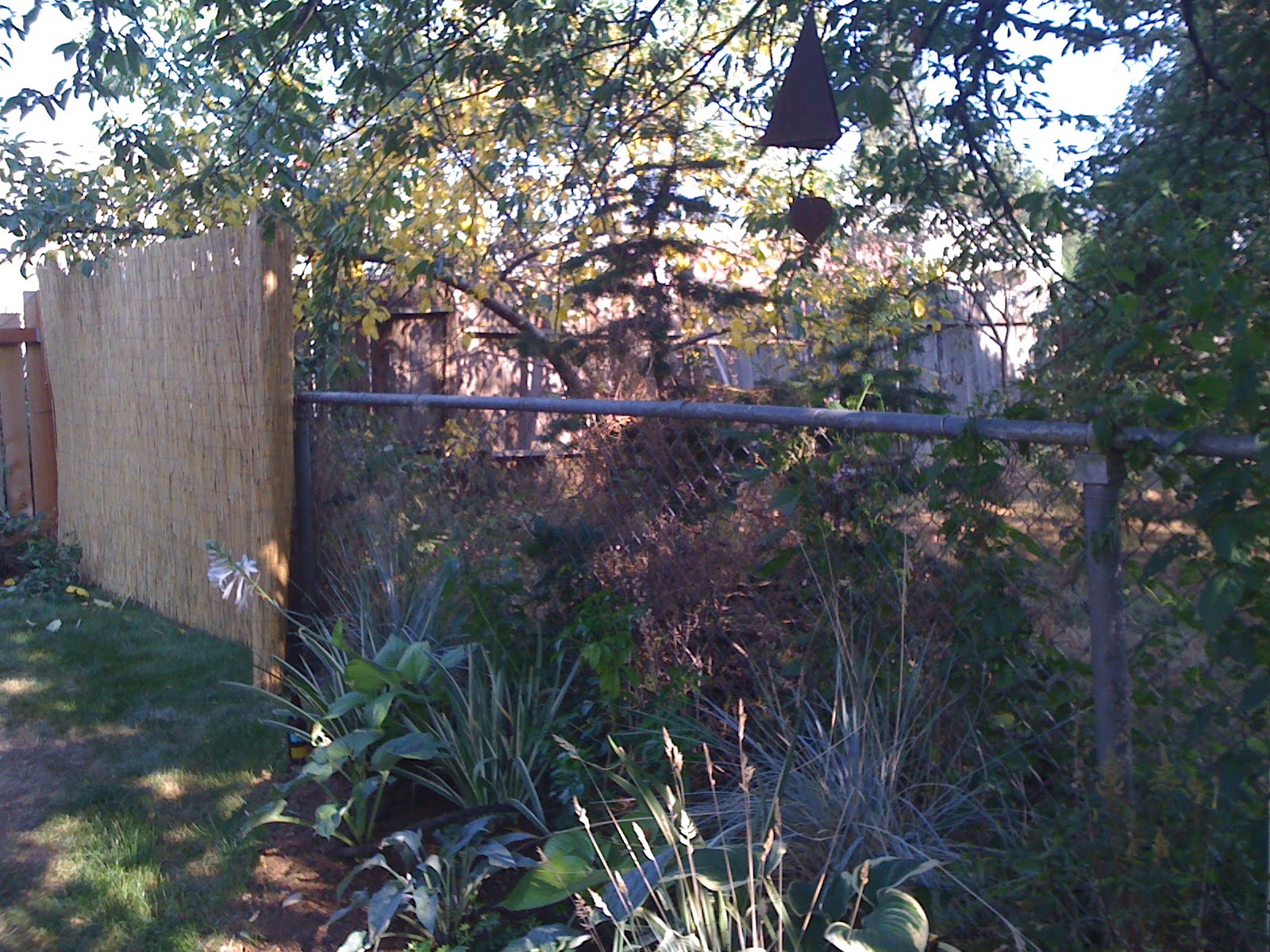 Reed Fencing Covers Ugly Chain Link Gardening In My Rubber
